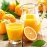 Соковыжималка для цитрусовых GGM Gastro ZPDC-W