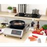 Індукційна плита GGM Gastro IDS4